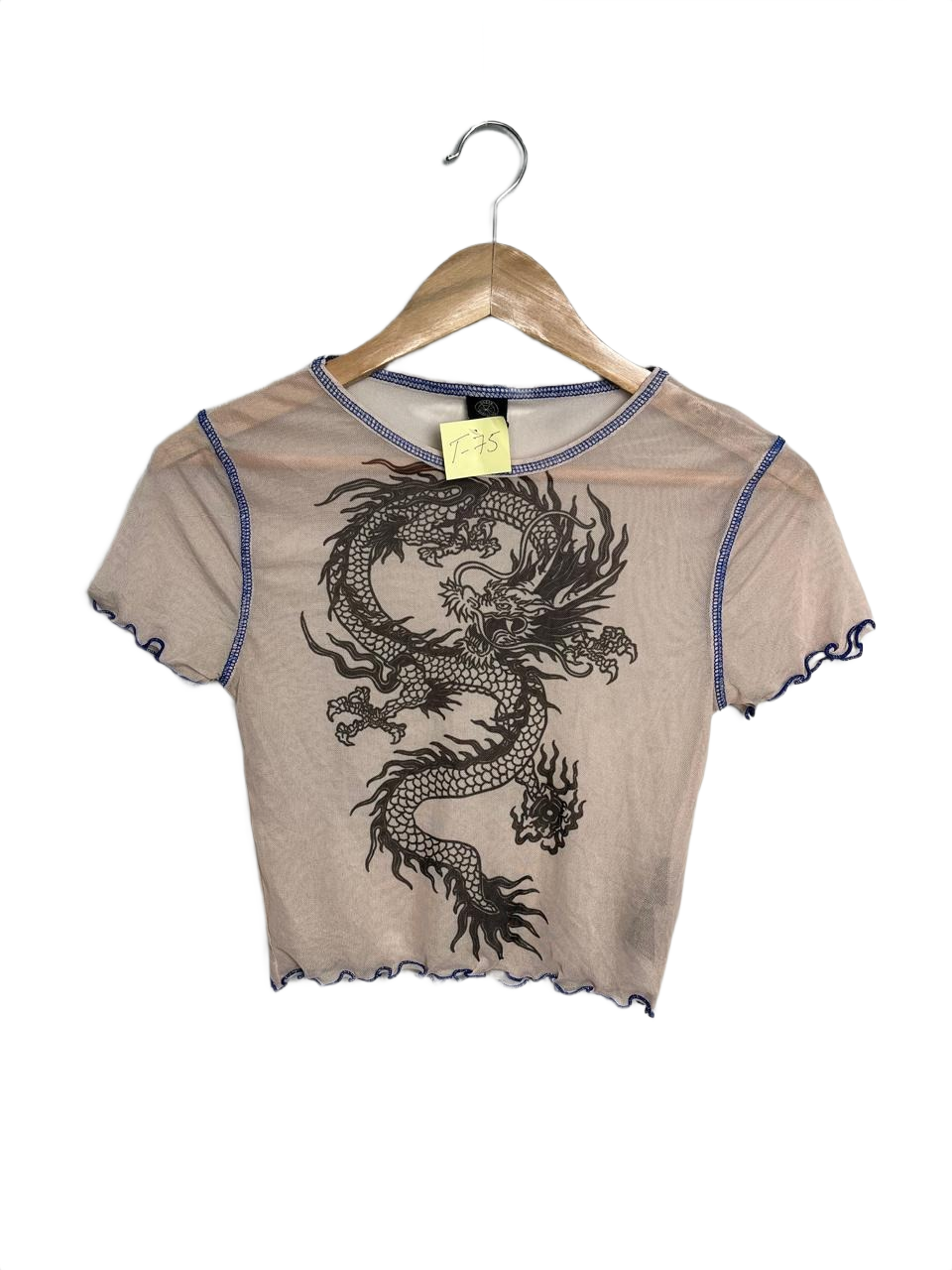 Urban Outfitters Dragon Graphic Mesh Crop Top