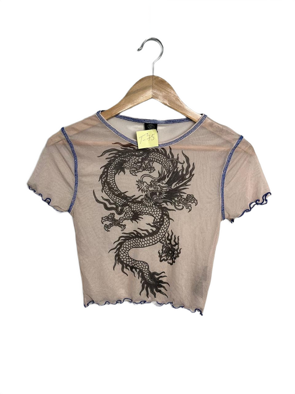 Urban Outfitters Dragon Graphic Mesh Crop Top