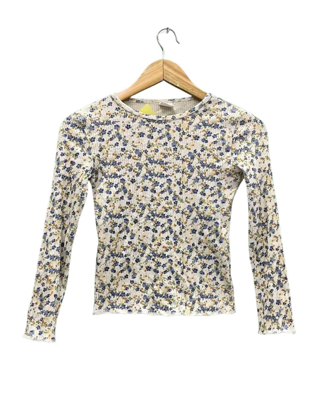 Zara Ditsy Floral Print Crewneck Top